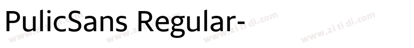 PulicSans Regular字体转换